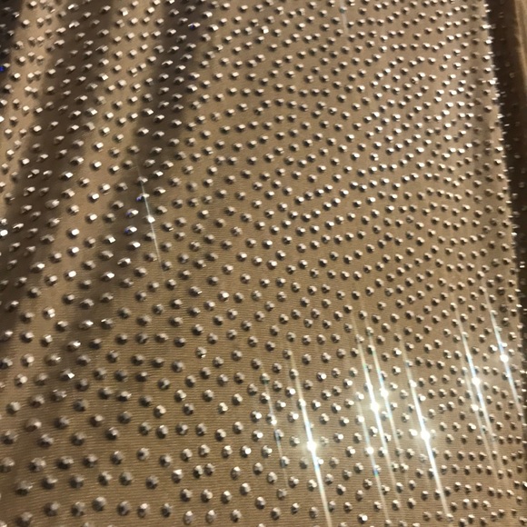 Sheer Stone Dress - Picture 6 of 6